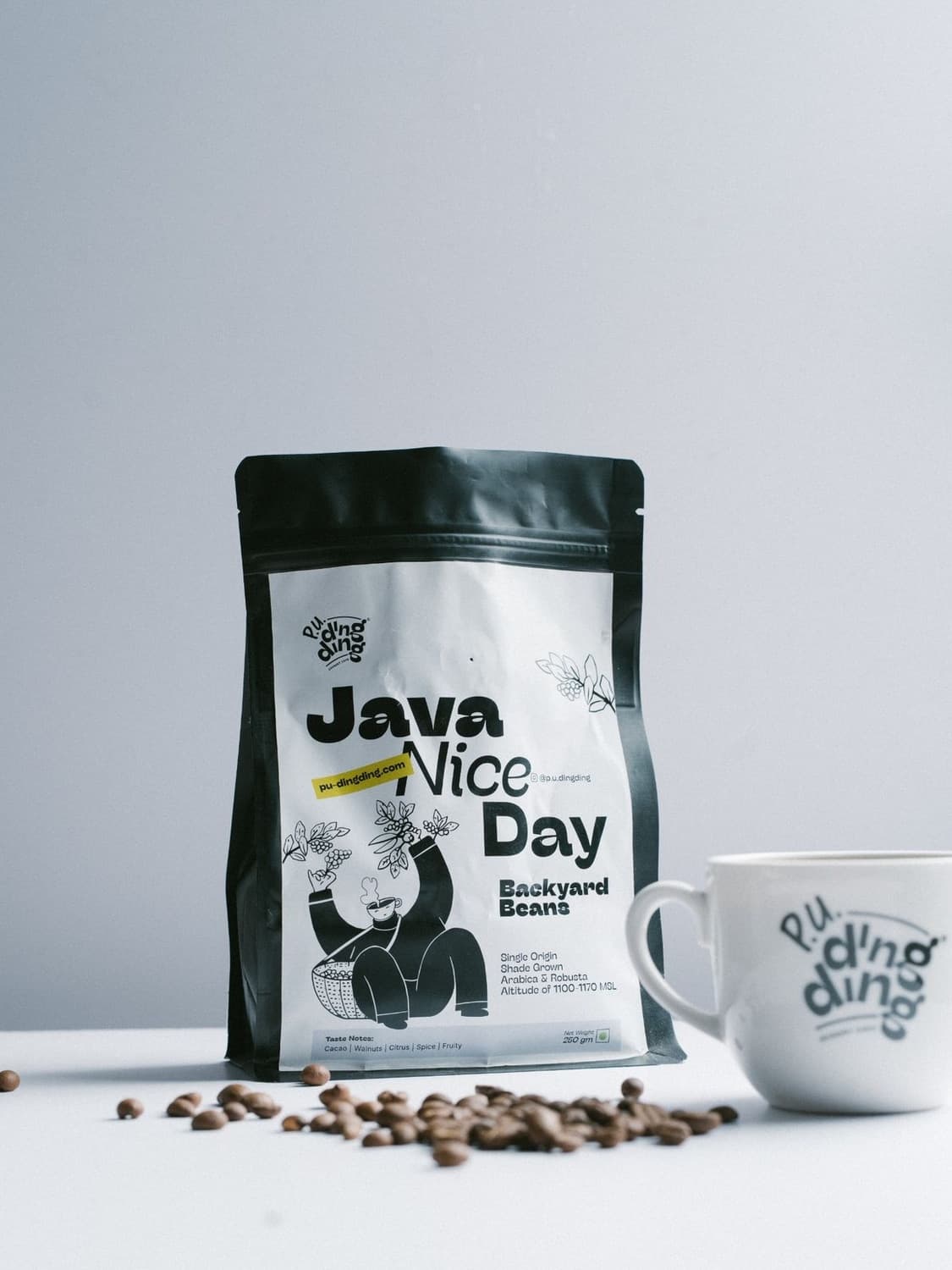 Arabica